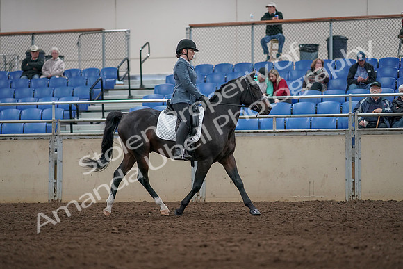 2019 Morgan Horse Show - Aug 31, 2019 - 07449