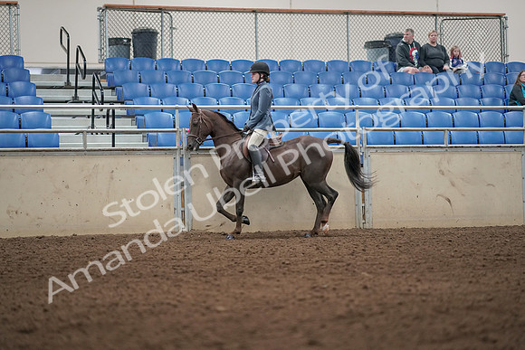 2019 Morgan Horse Show - Aug 31, 2019 - 04894