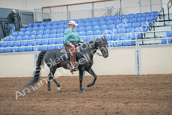 2020 - AB Morgan Horse - Sun, Sept 06 - 01633
