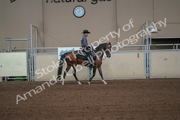 2019 Morgan Horse Show - Aug 31, 2019 - 06182