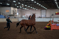 2019 Morgan Horse Show - Aug 31, 2019 - 00999