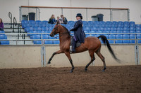 2019 Morgan Horse Show - Aug 30, 2019 - 28360