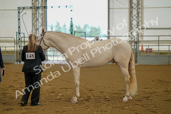 July 19, 2019 - 352