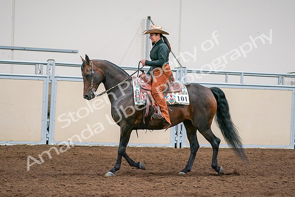 2020 - AB Morgan Horse - Sun, Sept 06 - 01562
