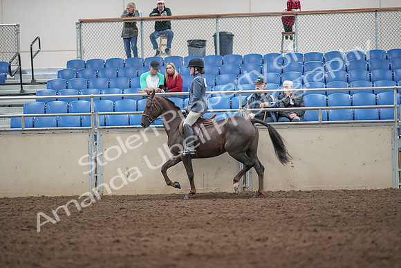 2019 Morgan Horse Show - Aug 31, 2019 - 07211