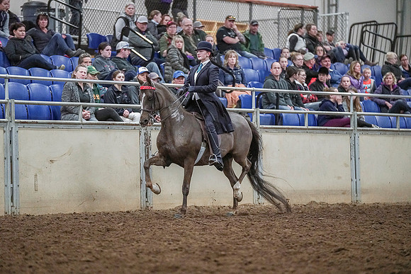 Spring Fling - Saturday - April 20, 2019  -  04276