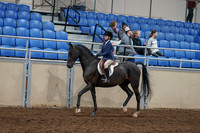 2020 - AB Morgan Horse - Sun, Sept 06 - 07669