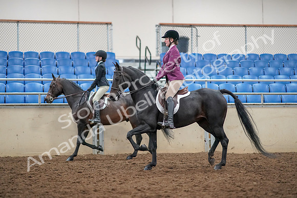 2019 Morgan Horse Show - Aug 30, 2019 - 23340