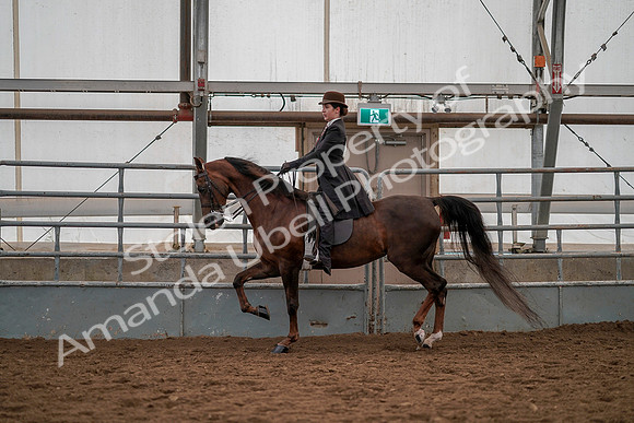 July 19, 2019 - 13026