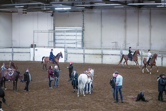 Spring Fling - Saturday - April 20, 2019  -  00346