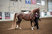 Spring Fling - Friday - April 19, 2019  -  03744