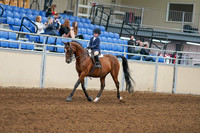 2020 - AB Morgan Horse - Fri, Sept 04 - 04465