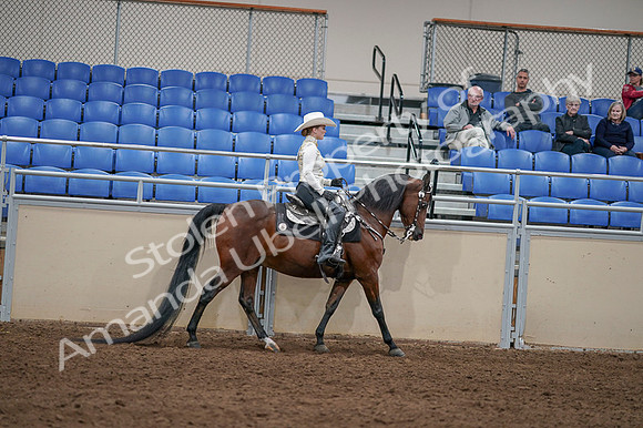 2020 - AB Morgan Horse - Fri, Sept 04 - 08453