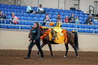 2020 - AB Morgan Horse - Sat, Sept 05 - 05766