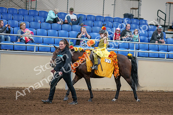 2020 - AB Morgan Horse - Sat, Sept 05 - 05766