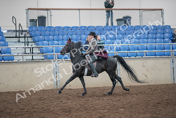 2019 Morgan Horse Show - Aug 31, 2019 - 09475
