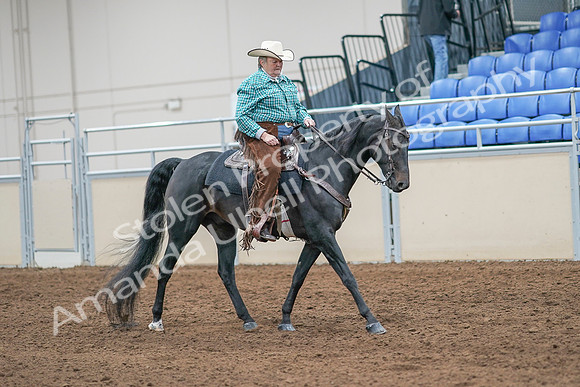 2020 - AB Morgan Horse - Sun, Sept 06 - 01626