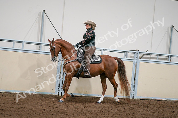2020 - AB Morgan Horse - Fri, Sept 04 - 08428