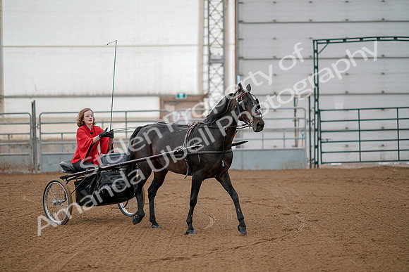 July 20, 2019 - 00164