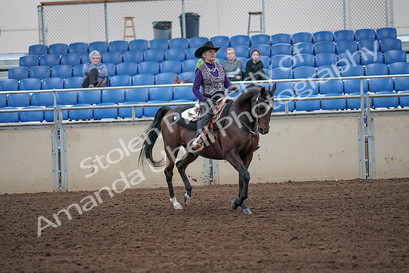 2019 Morgan Horse Show - Aug 31, 2019 - 10783