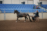2019 Morgan Horse Show - Aug 31, 2019 - 04236