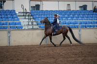 2019 Morgan Horse Show - Sept 01, 2019 - 12750