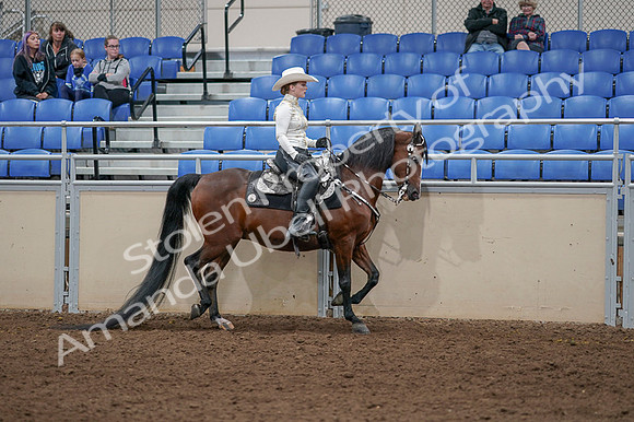 2020 - AB Morgan Horse - Fri, Sept 04 - 08442