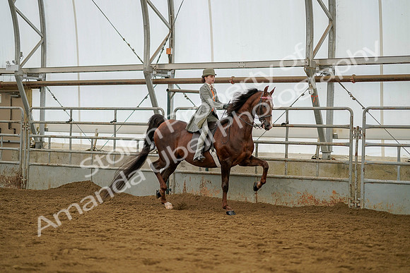 July 20, 2019 - 03799