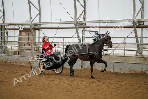 July 20, 2019 - 00187