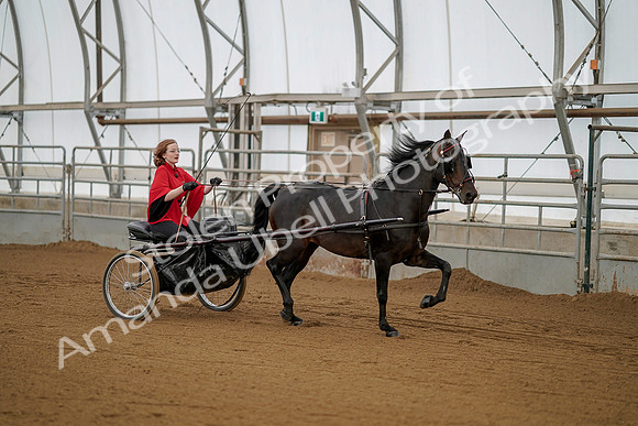 July 20, 2019 - 00220