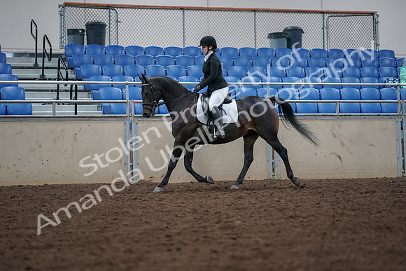 2019 Morgan Horse Show - Aug 30, 2019 - 18388