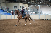 2020 - AB Morgan Horse - Sat, Sept 05 - 06045