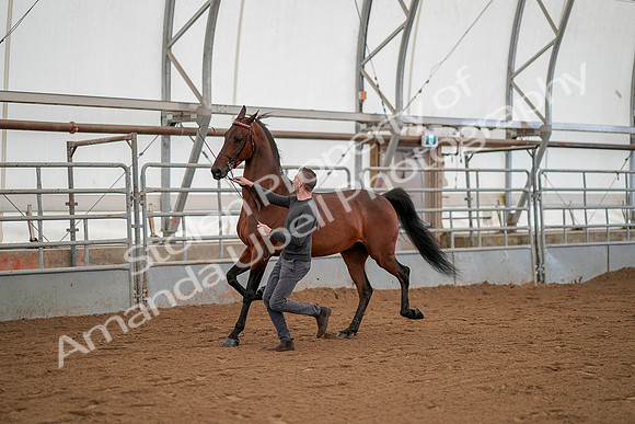 July 19, 2019 - 1164