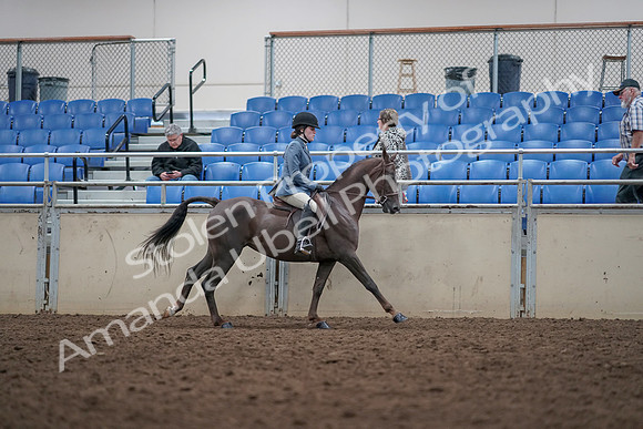 2019 Morgan Horse Show - Aug 31, 2019 - 16768