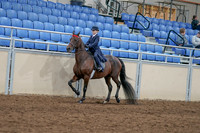 2020 - AB Morgan Horse - Sat, Sept 05 - 04759