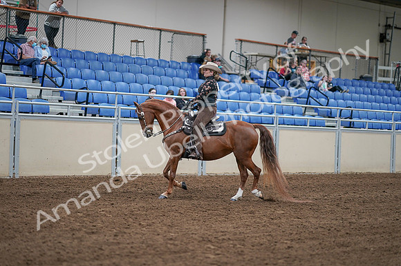 2020 - AB Morgan Horse - Fri, Sept 04 - 08327