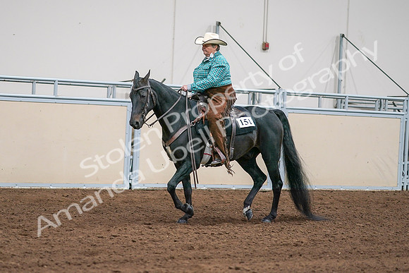 2020 - AB Morgan Horse - Sun, Sept 06 - 01587
