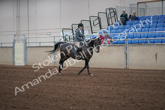 2019 Morgan Horse Show - Sept 01, 2019 - 11081