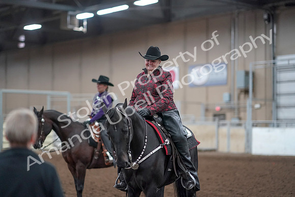 2019 Morgan Horse Show - Aug 31, 2019 - 10792