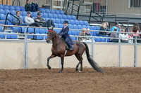 2020 - AB Morgan Horse - Sat, Sept 05 - 04753