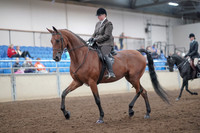 2019 Morgan Horse Show - Aug 31, 2019 - 14644