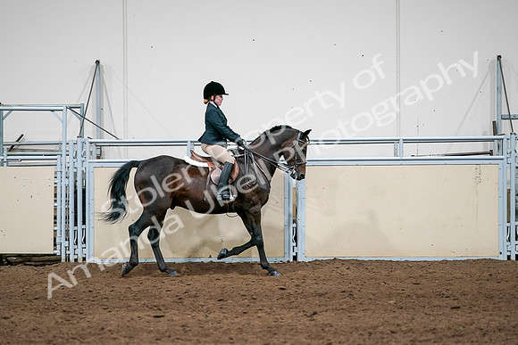 2020 - AB Morgan Horse - Sun, Sept 06 - 07976