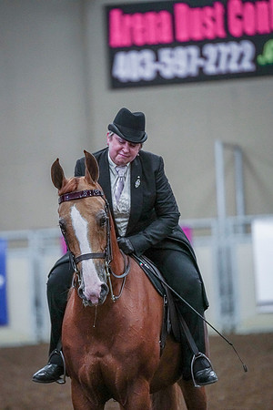 Spring Fling - Saturday - April 20, 2019  -  00860