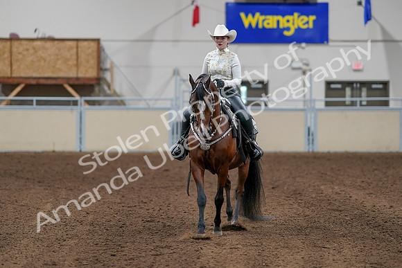 2020 - AB Morgan Horse - Sun, Sept 06 - 07608