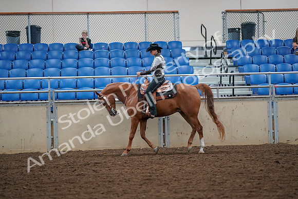 2019 Morgan Horse Show - Aug 30, 2019 - 16852
