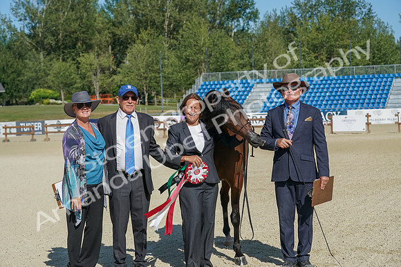 2024 - WCB - July 19 - 03778