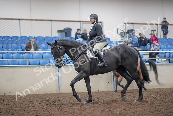 2019 Morgan Horse Show - Aug 31, 2019 - 14904