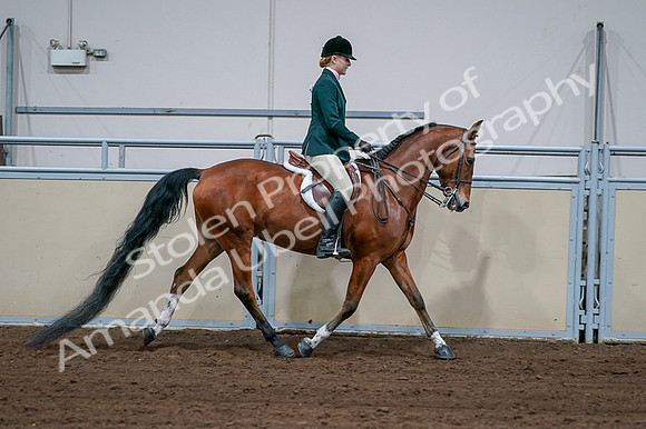 2020 - AB Morgan Horse - Fri, Sept 04 - 01743
