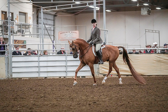 Spring Fling - Saturday - April 20, 2019  -  04552