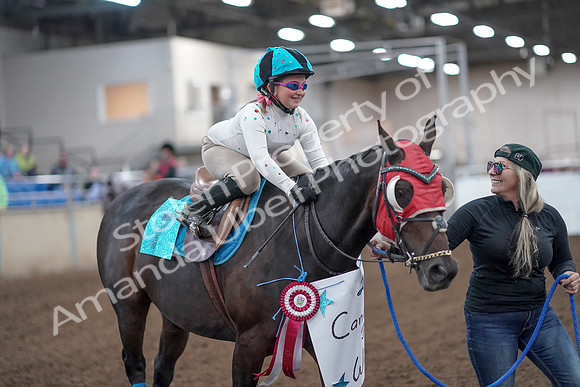 2019 Morgan Horse Show - Aug 31, 2019 - 09980